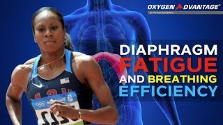 Diaphragm Fatigue And Breathing Efficiency [upl. by Cherise]