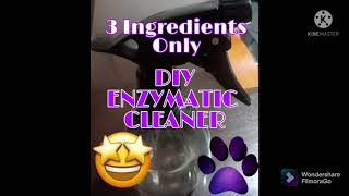 DIY Enzymatic Cleaner [upl. by Etteniuq]