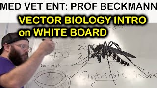 Vector Biology  101  white board talk [upl. by Greeson]