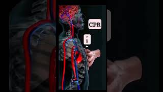 CPR physiology physio doctor doctors nursingstudent nursing [upl. by Yukio]