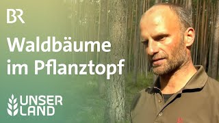 Junge Waldbäume im Pflanztopf Unser Land  BR Fernsehen [upl. by Phare]