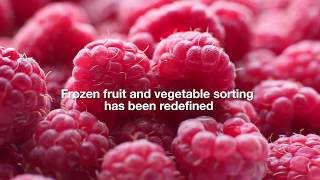 SORTEX F range with PolarVision for Frozen Fruit and Vegetables [upl. by Scammon]