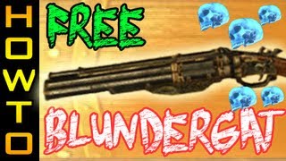 FREE Blundergat  How to get two Blundergats  All 5 Skull Locations  Mob of the Dead [upl. by Alesram]