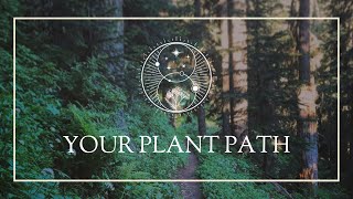 Your Plant Path [upl. by Ferrick]