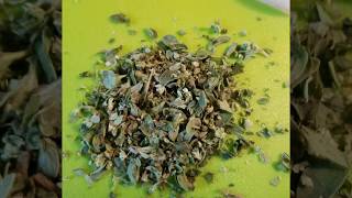 Marjoram recipes Shorty Video [upl. by Jenda]