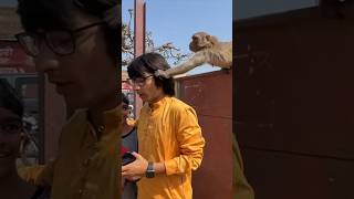 Esa banbar ne ye kiya yaar vlog sourajoshivlogs shortsfeed funny comedy new bandar [upl. by Battista]