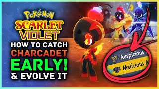 Pokemon Scarlet and Violet  How to Catch Charcadet EARLY amp Evolve Into Armarouge  Ceruledge [upl. by Elenahc925]