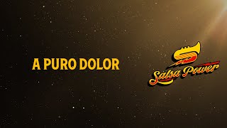 A Puro Dolor Salsa Power  Video Letra  Salsa Power [upl. by Kyte254]