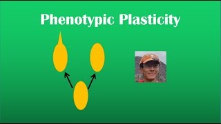 Phenotypic Plasticity Review BI 107 [upl. by Leahcimal]