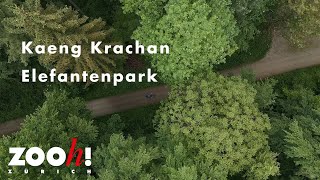 Kaeng Krachan Elefantenpark [upl. by Ytrebil]