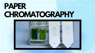 PAPER CHROMATOGRAPHY  CHROMATOGRAPHY  SEPARATION TECHNIQUE [upl. by Niessuh]