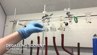 Degassing solvent on the Schlenk line [upl. by Ennahgem664]