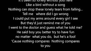 Chris Cornell  Nothing Compares 2U  Cover  Live  Scroll Lyrics quot22quot [upl. by Leugimsiul]