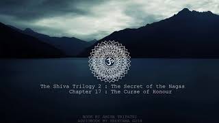 Audiobook  Chapter 17  The Secret of the Nagas [upl. by Grube684]