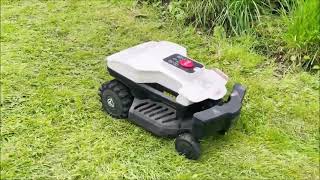 HOW MY AMBROGIO TWENTY ELITE ROBOT LAWNMOWER COPES WITH MY STEEP SLOPING LAWN [upl. by Sarita]