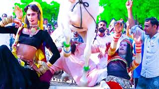 घोड़ा डांस मारवाड़ी horse dance DJ Dhol By Rajasthani Online Media [upl. by Parker]