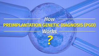 How Preimplantation Genetic Diagnosis PGD Works [upl. by Nisen]