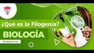 ¿Qué es la Filogenia en Biología 🌎 Datos aplicación y ejemplos [upl. by Efrem]