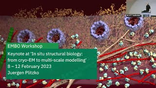 EMBL Keynote Lecture The long and winding road to in situ structural biology with cryoET [upl. by Aihtenyc767]