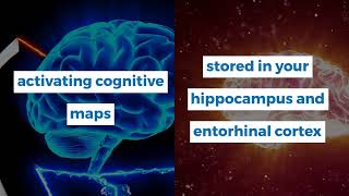 How the Brain Constructs Cognitive Maps for NonSpatial Memory [upl. by Close80]