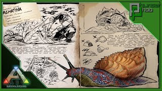 Ark Basics Achatina  HOW TO MAKE VEGGIE CAKES  EVERYTHING YOU NEED TO KNOW [upl. by Joses272]