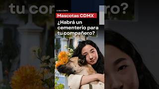 ¿Habrá un cementerio para mascotas en la CDMX Esto se sabe [upl. by Wills]