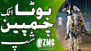 neza bazi bota championship attock 2024 video by zmc jand tent pegging part 8 [upl. by Valentina]