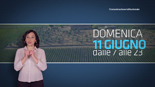 Elezioni Comunali 2017  Domenica 11 giugno [upl. by Dnomde]