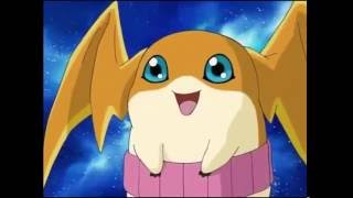 Cute momment from Digimon Frontier Patamon Plotmon amp Babies  Adventure Reference [upl. by Tlevesor986]