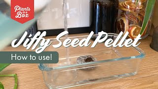 How to use Jiffy Seed Pellets [upl. by Holton]