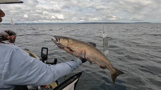 Puget Sound Chinook Fishing 7252024 [upl. by Isahella]