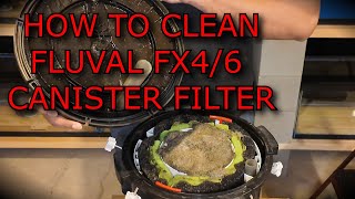 How To Clean Fluval FX4 6 Canister Filter [upl. by Ahseyi]