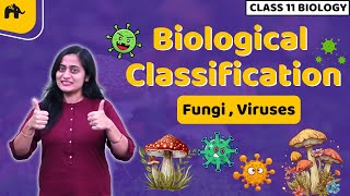 Biological Classification Class 11 Biology NCERT Chapter 2  CBSE  Kingdom Fungi Viruses Viriods [upl. by Goldner]