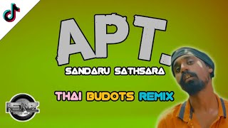 APT Sandaru Sathsara Thai Budots Remix  DJ RENZ TMD [upl. by Monahon]