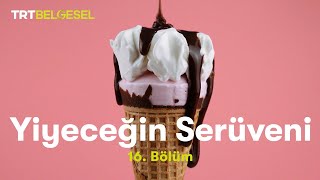 Yiyeceğin Serüveni  Dondurma  TRT Belgesel [upl. by Akanke294]