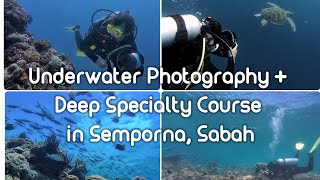 Scuba Dive  Island Hopping in Semporna Sabah [upl. by Elle]