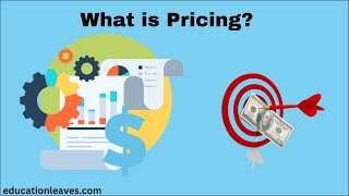 What is Pricing in marketing  Pricing strategies [upl. by Busey]