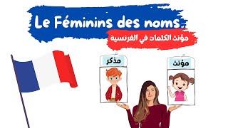 شرح درس le féminin des noms [upl. by Dnomar]