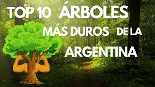 ✅Top 10 ÁRBOLES más DUROS de la ARGENTINA 🌳 [upl. by Enneicul]