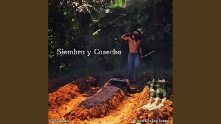 Siembra Y Cosecha [upl. by Pandora]