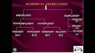 Chromosomal Aberrations Polyploidy Euploidy Aneuploidy Change in structure change in number [upl. by Ylrad]