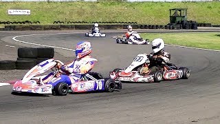 Super 1 Karting 2019 Senior Rotax amp 177 Final Round [upl. by Greyson]