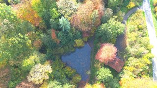 Mit der BMW 1200 GS im Spätherbst durch das Wiehengebirge und die Herbstfarben genießen [upl. by Etnahsal851]