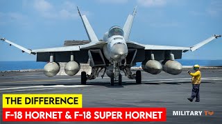 What is the Difference Between F18 Hornet and F18 Super Hornet [upl. by Ahsiekan]