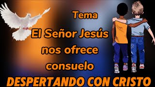 💜Despertando con Cristo💜59Tema El SEÑOR JESÚS nos ofrece consuelo paratii evangelio [upl. by Elegna777]