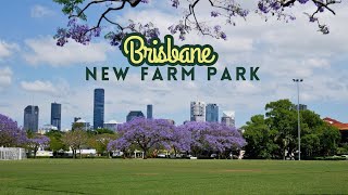 New Farm Park with Jacaranda  Brisbane Australia [upl. by Osner150]