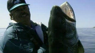 Simply Fishing MONSTER LAKE TROUT WORLD RECORD LAKER [upl. by Adah]