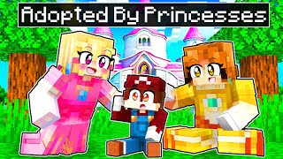 Adopted by a PRINCESS FAMILY  Minecraft Mario Movie Life 14 [upl. by Zitvaa306]