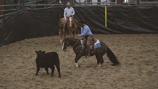 AQHA Ranch Cutting [upl. by Aronel]