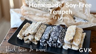 Soy  Free Tempeh 3 kinds [upl. by Arretal766]